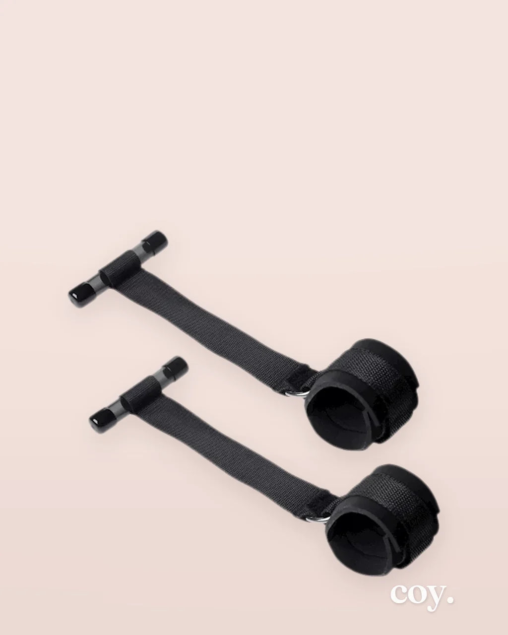 Frisky Over The Door Entryway Restraints — Coy