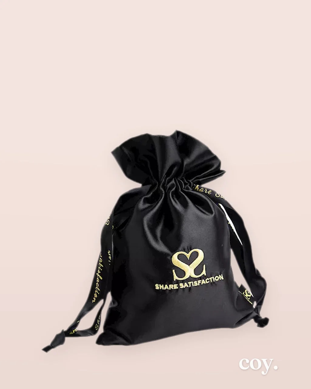Share Satisfaction Small Luxury Satin Bag — Coy