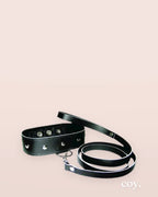 Leather Leash And Collar — Coy