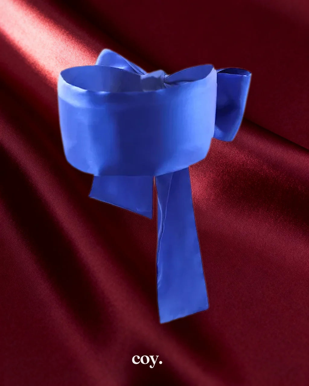 Leather Play Shallow End Bondage Kit — Blue — Coy