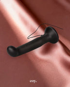 Dr Joel Kaplan Ez-Reach Prostate Probe — Coy