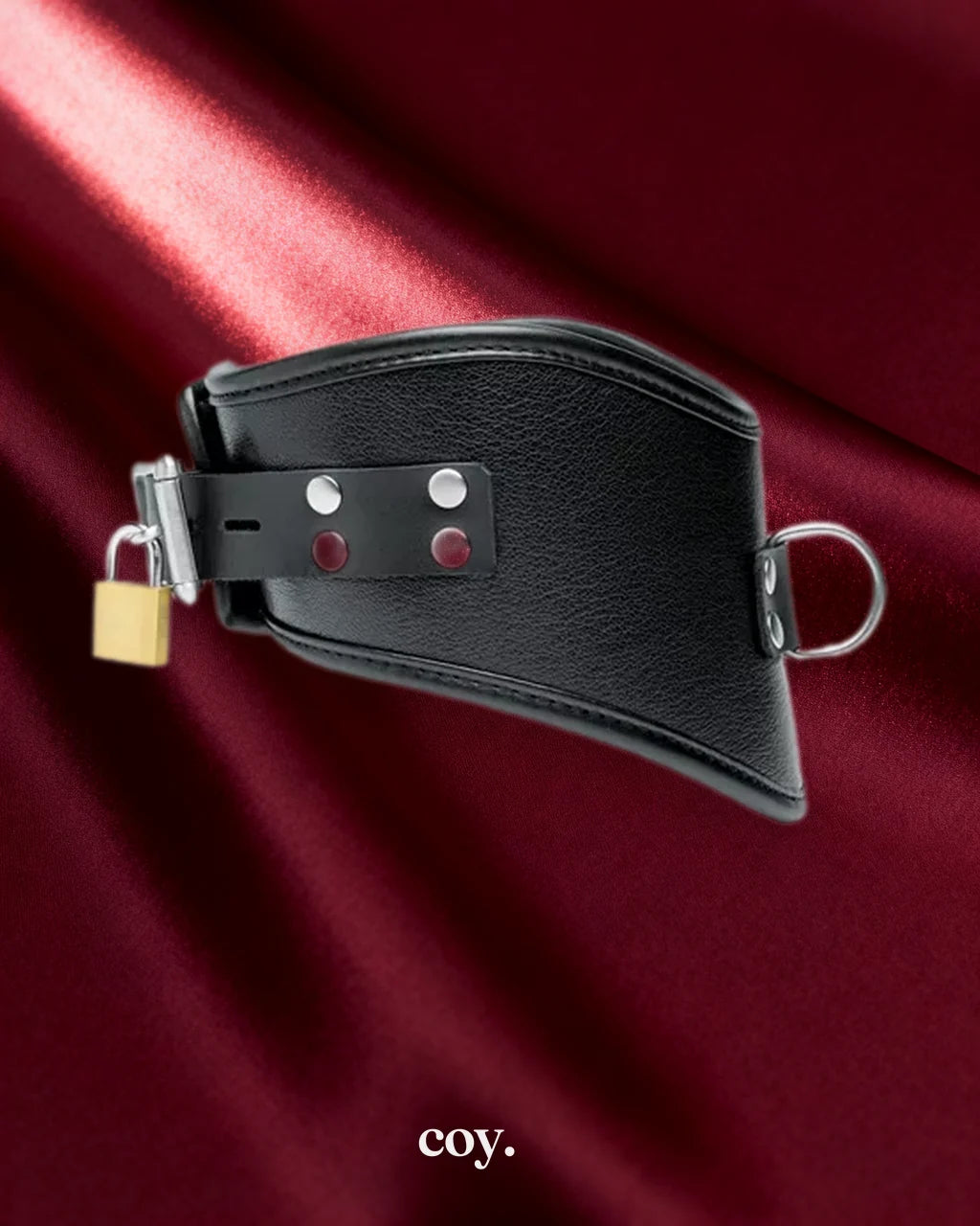 Leather Posture Collar with Leash — Black — Coy