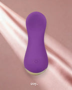 Cal Exotics Slay #loveme 4.25 Inch G-Spot Vibrator — Purple — Coy