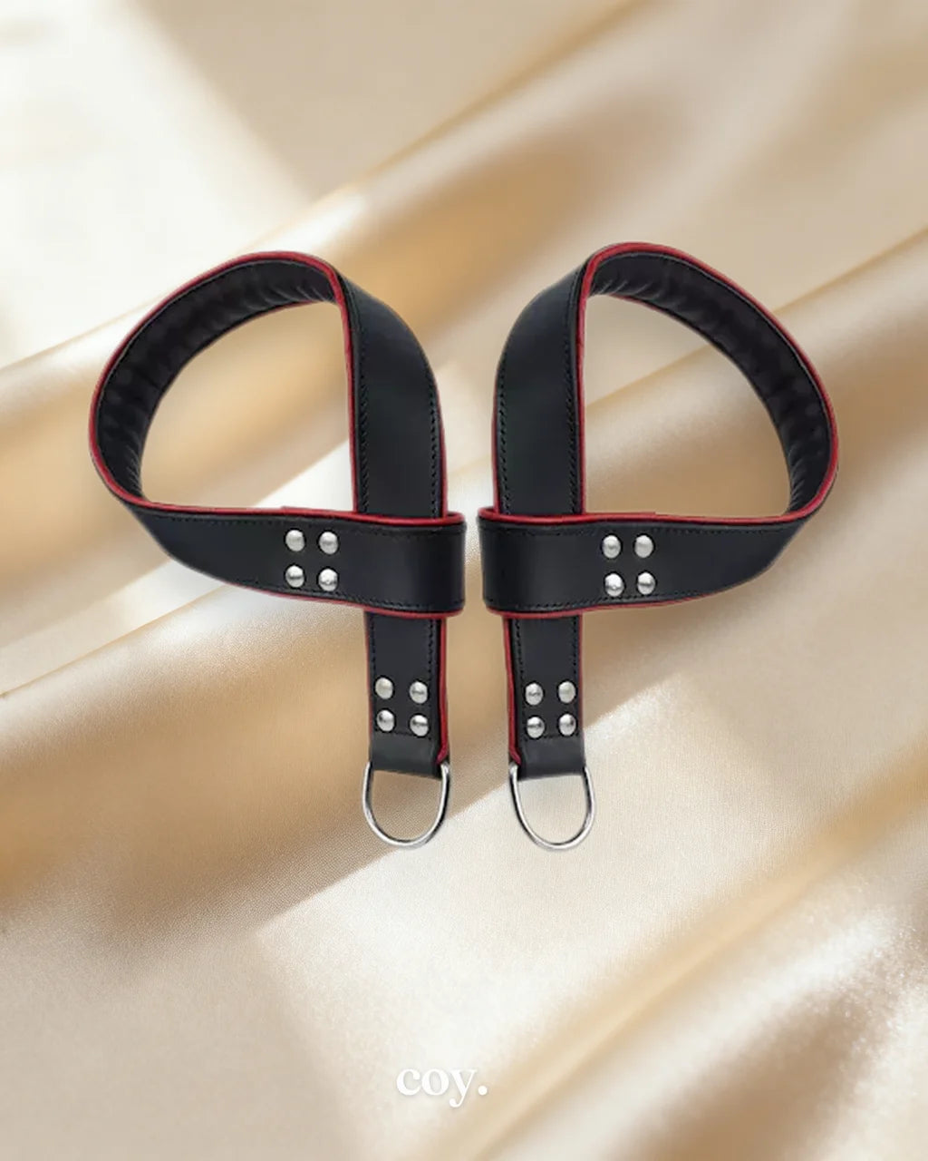 Bound X Leather Suspension Straps — Coy