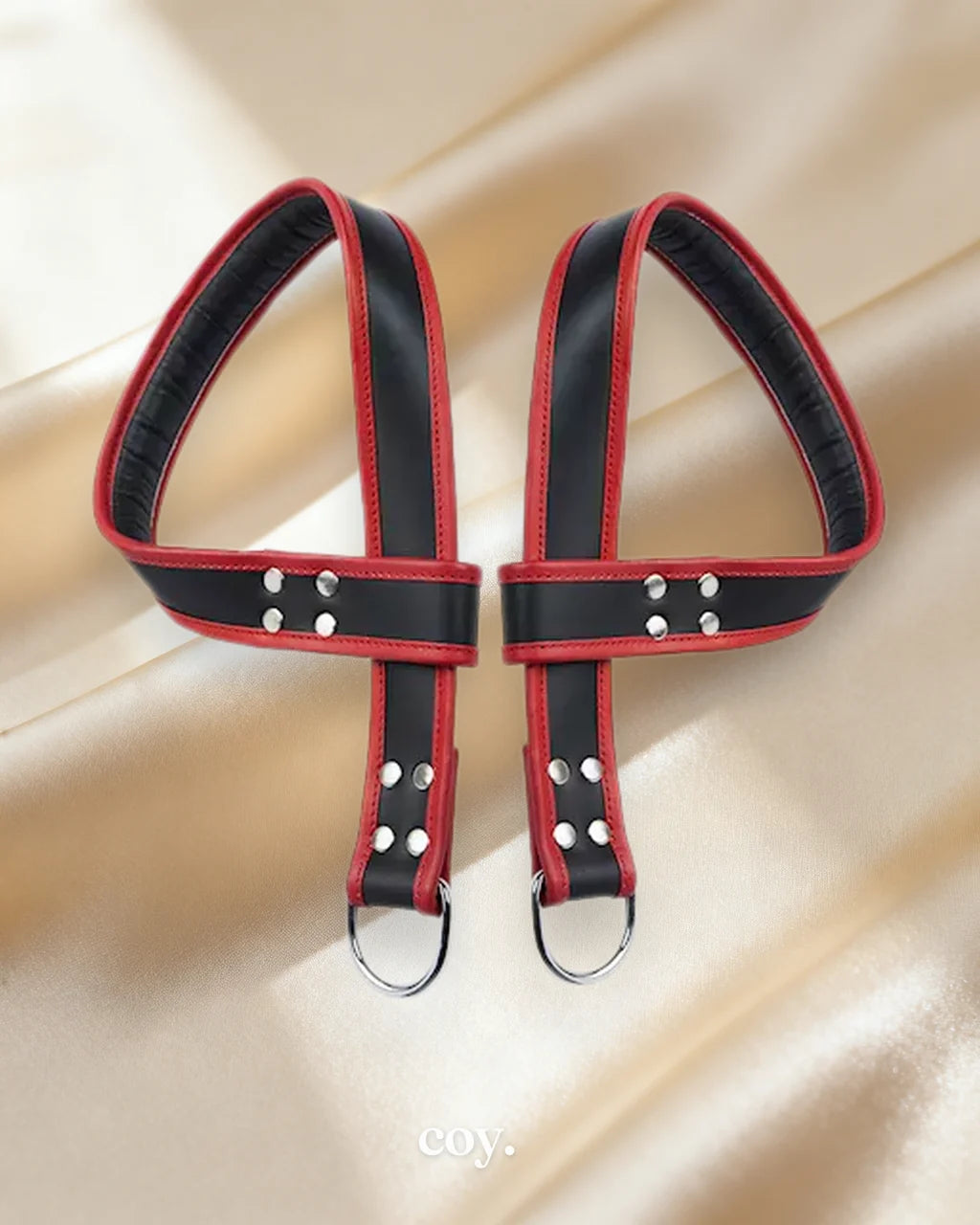 Bound X Heavy Duty Leather Suspension Straps — Coy