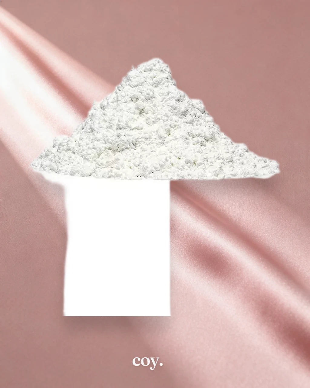 Clone-A-Willy Molding Powder Refill 3oz — Coy