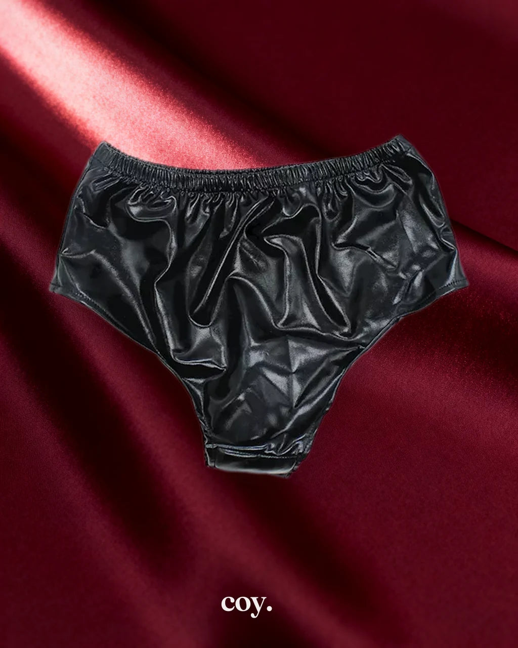 Leather Play Spandex Dildo Brief Restraint — Black — Coy