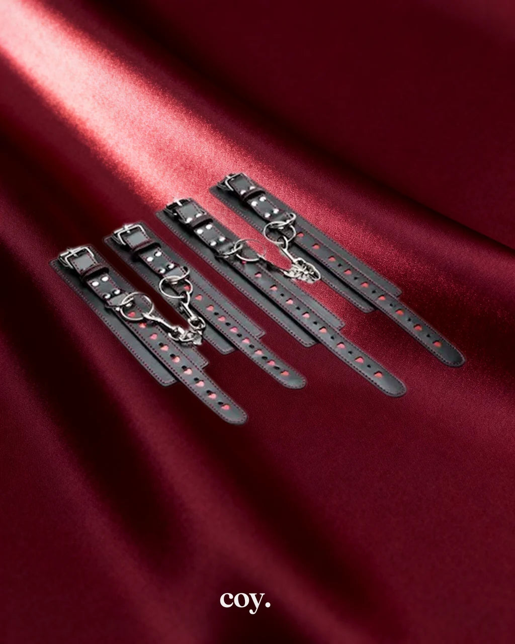 Heart Ache 5 Piece Bondage Set — Coy