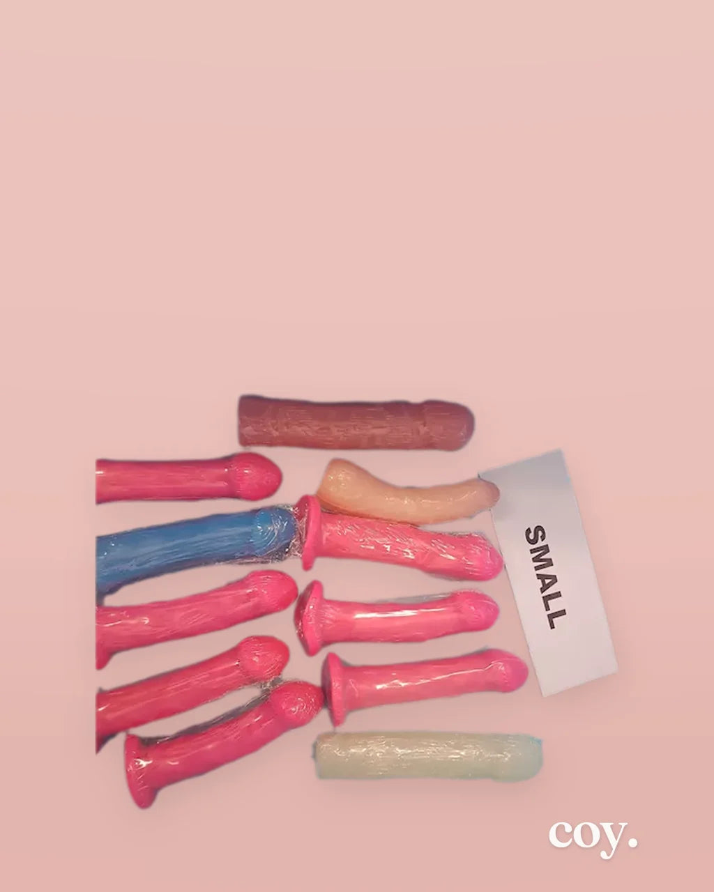Small Single Unit — Coy