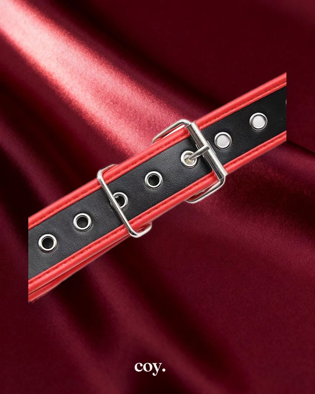 Chest Harness — Coy