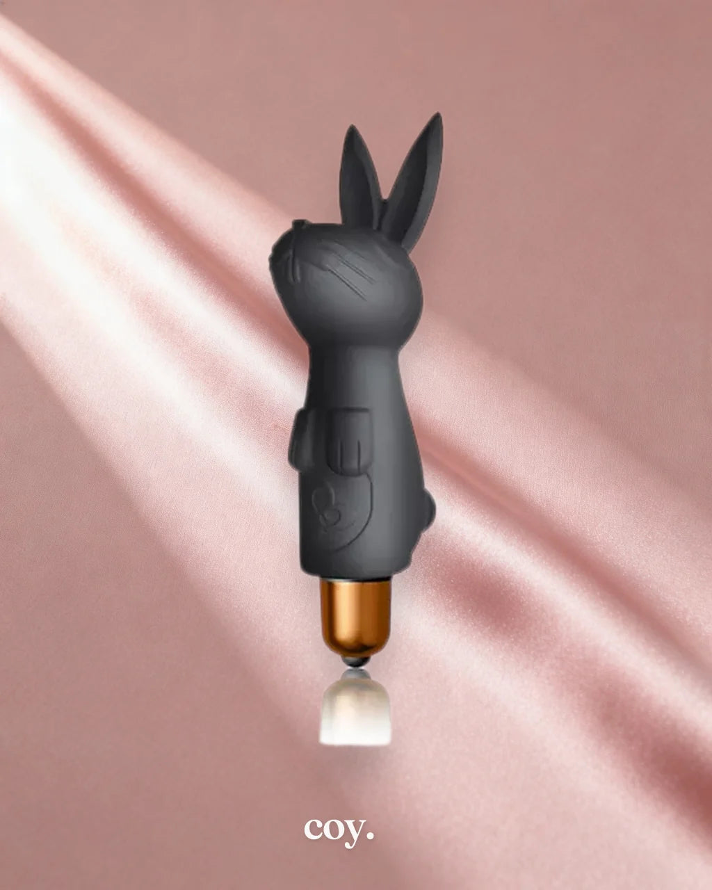 Silhouette Dark Desires Kit — Coy