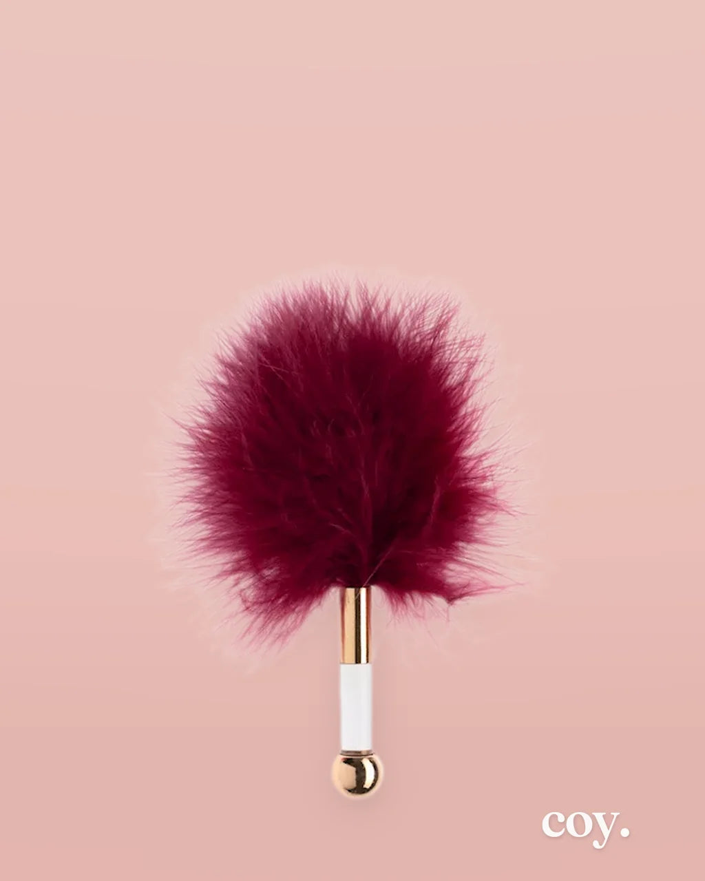 Burgundy — Coy
