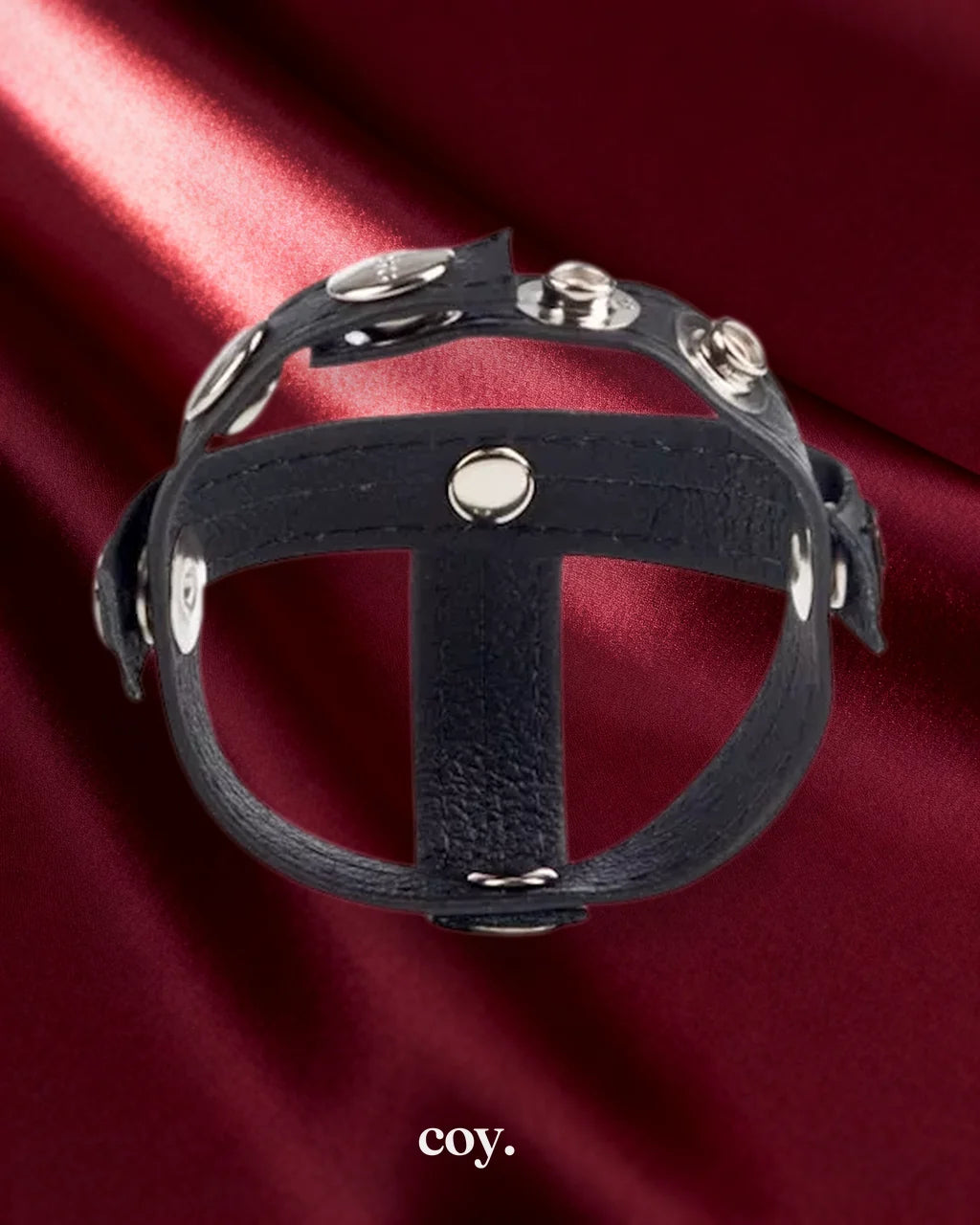 Colt Leather C/B Strap H-Piece Divider — Coy