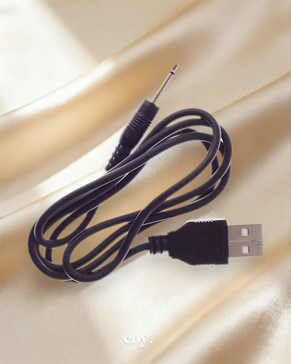 Share Satisfaction USB Pin Charger — Coy