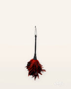 Frisky Feather Duster — Coy