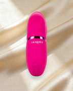 Intimate Pump Rechargeable Full Coverage Pussy Pump — Coy