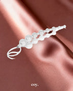 Shanes World Anal 101 Intro Beads — Coy