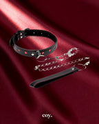 Heart Ache 5 Piece Bondage Set — Coy