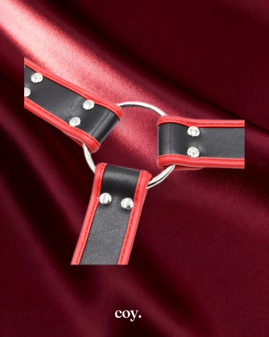 Chest Harness — Coy