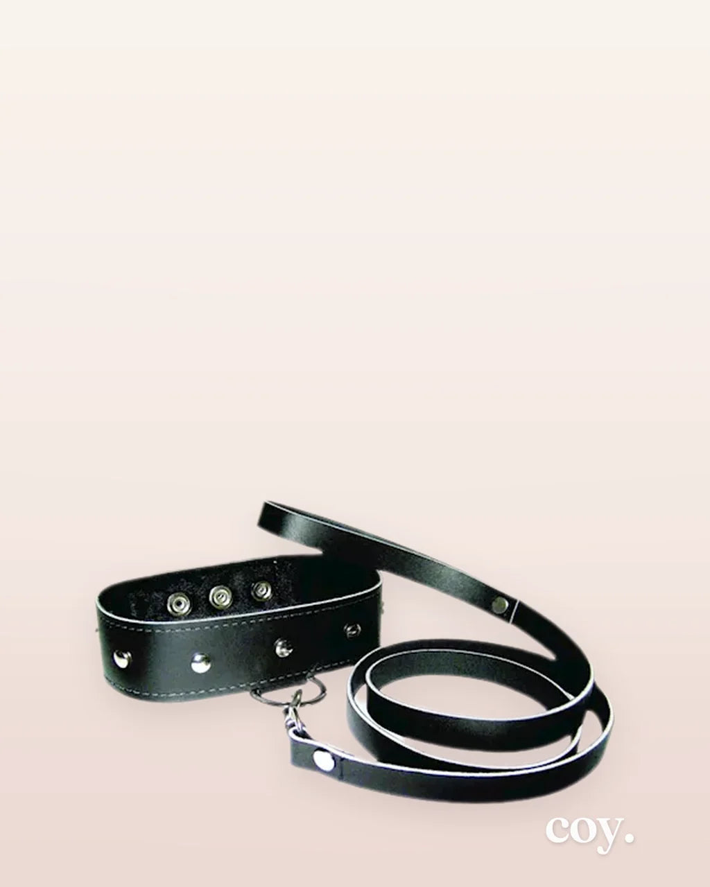 Leather Leash And Collar — Coy