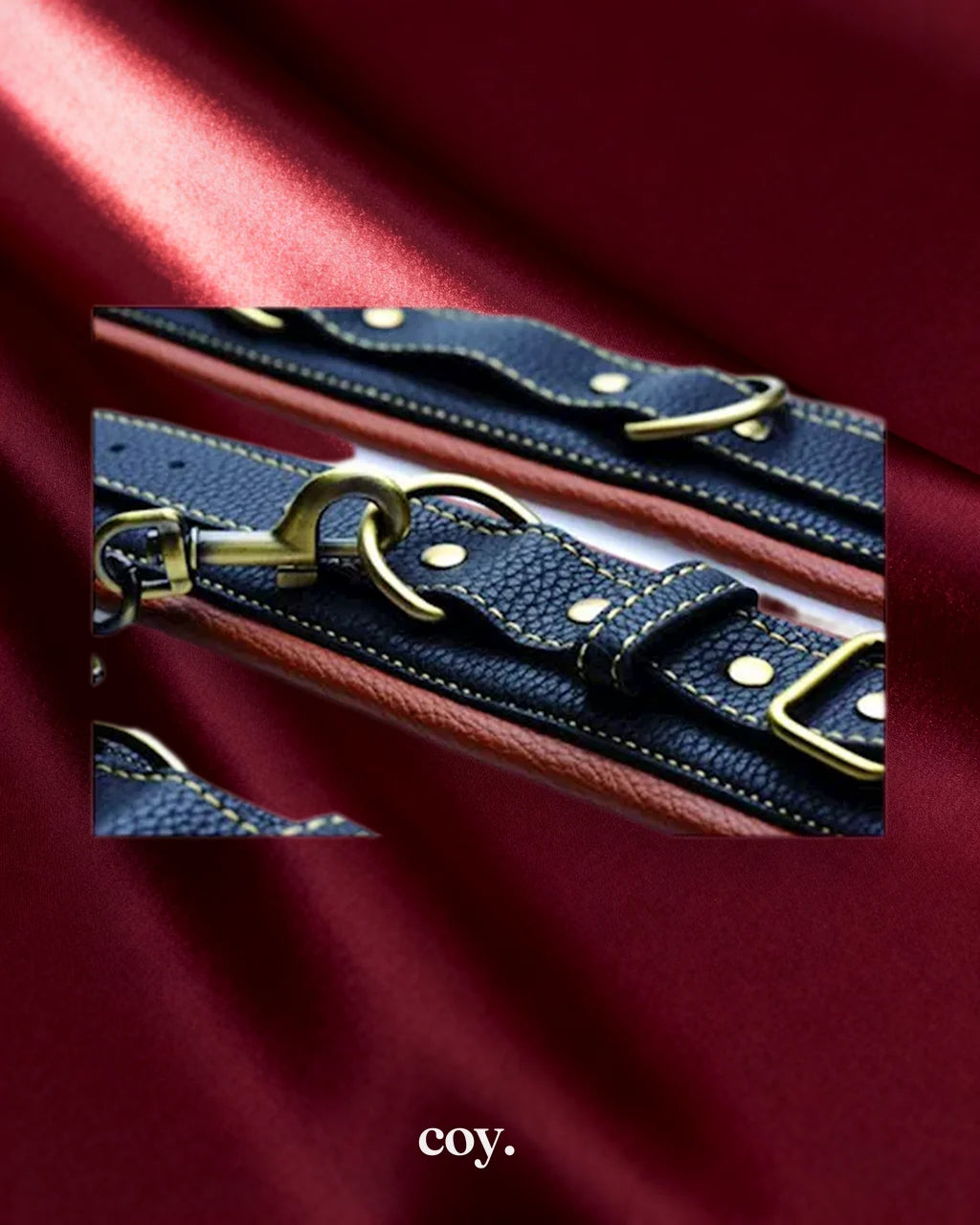 Coax Collar To Wrist Restraints — Coy