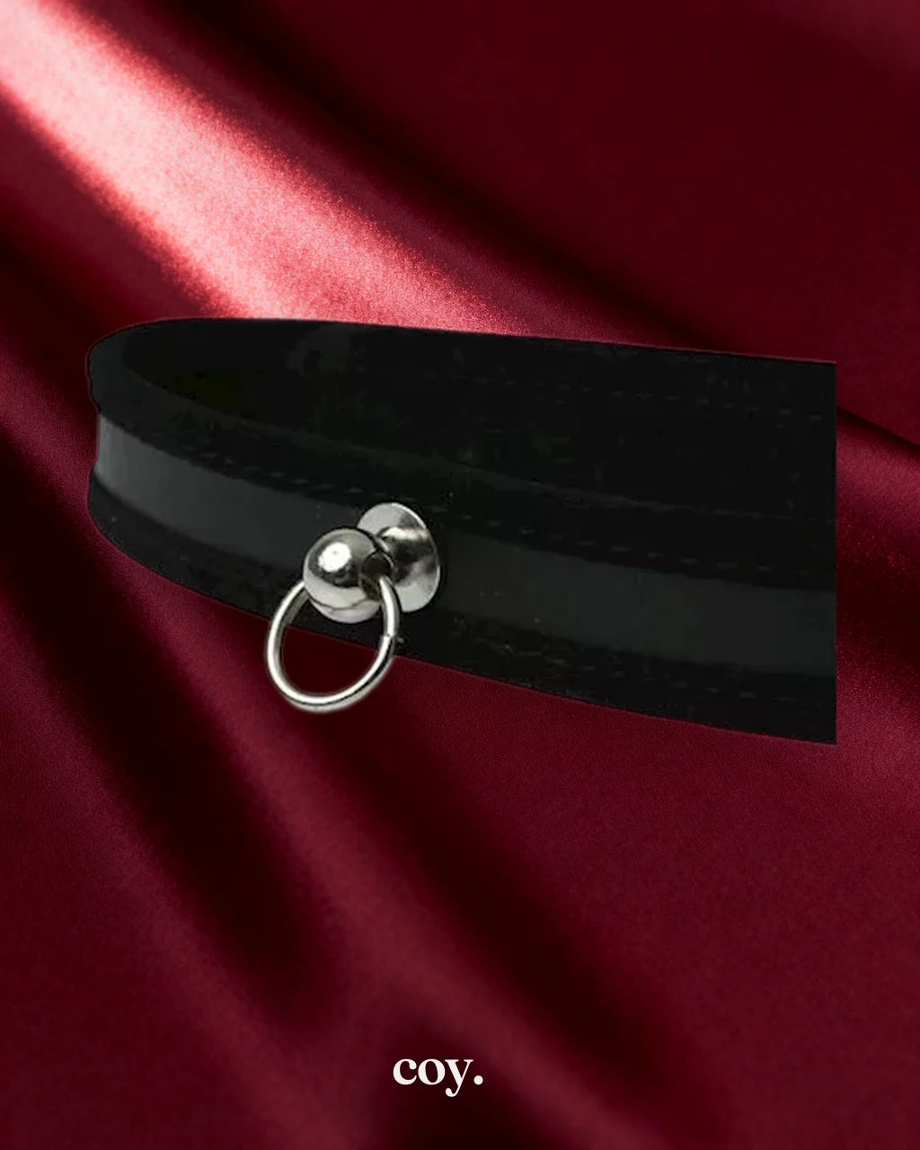 Sportsheets Black Day Collar — Coy