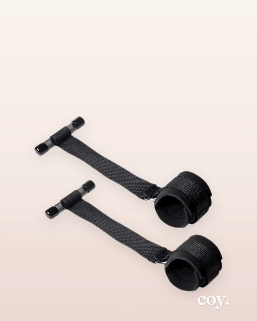 Frisky Over The Door Entryway Restraints — Coy
