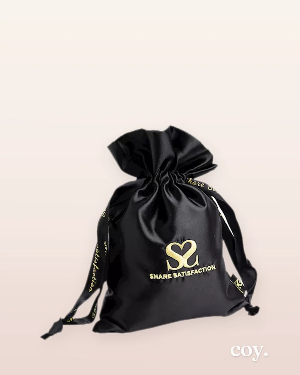 Share Satisfaction Small Luxury Satin Bag — Coy