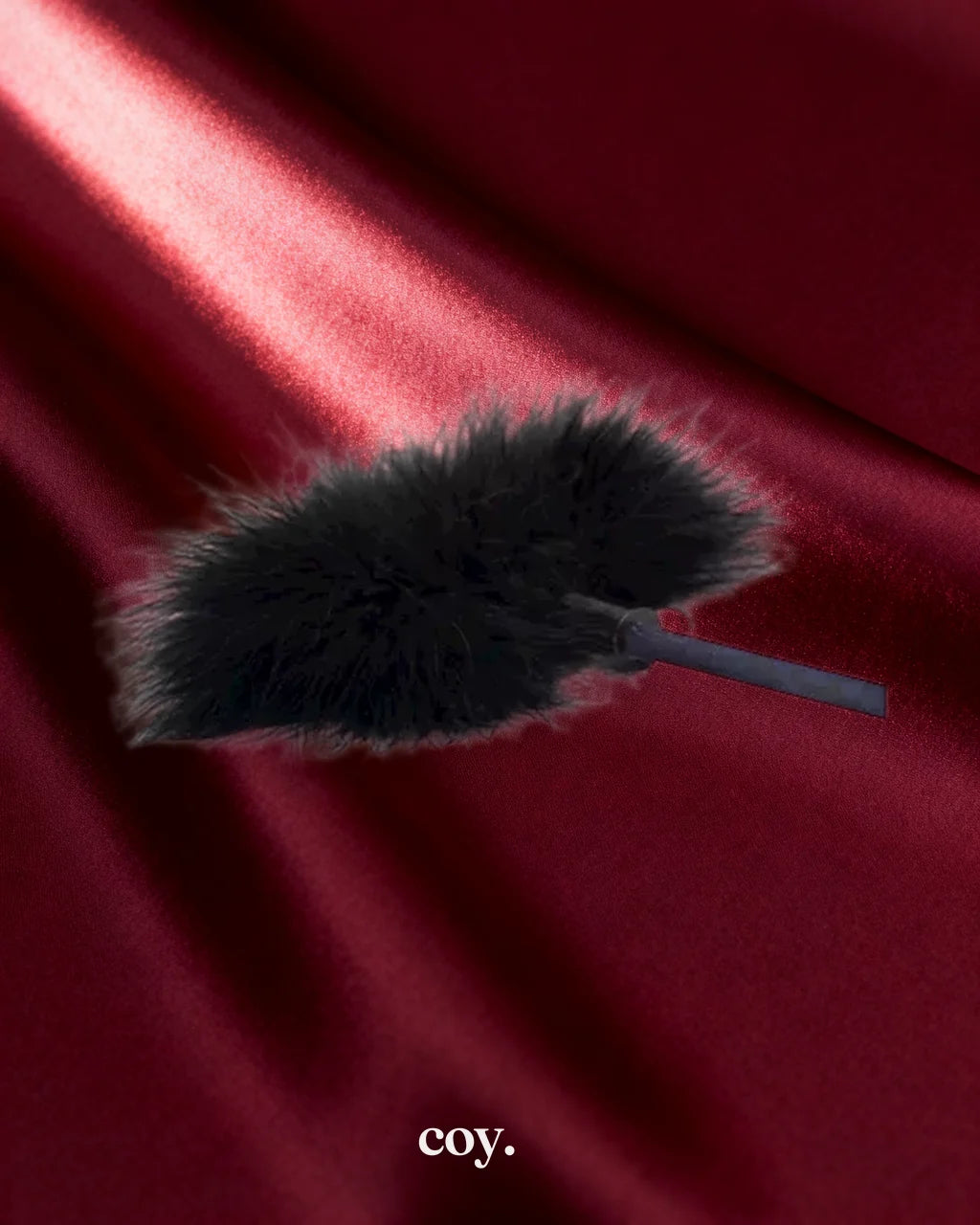 Bound Luxury Riding Crop — Coy