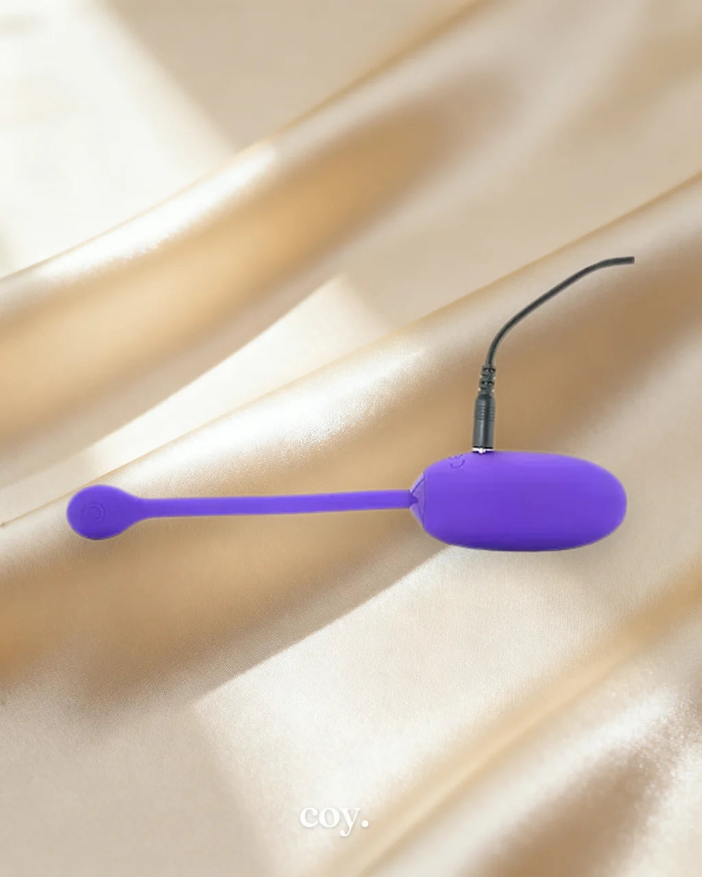 Rechargeable Kegel Ball — Coy