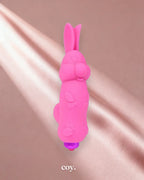 Rabbit Bullet Vibrator — Coy