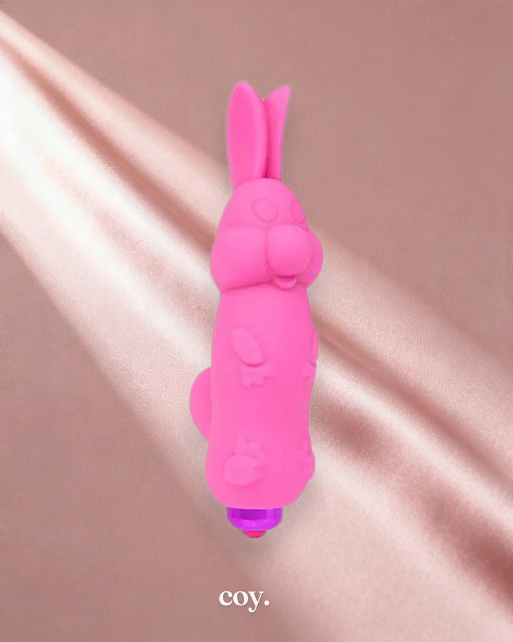 Rabbit Bullet Vibrator — Coy