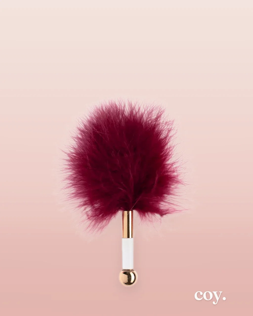 Burgundy — Coy