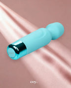 Cal Exotics Eden Massager Wand — Teal — Coy