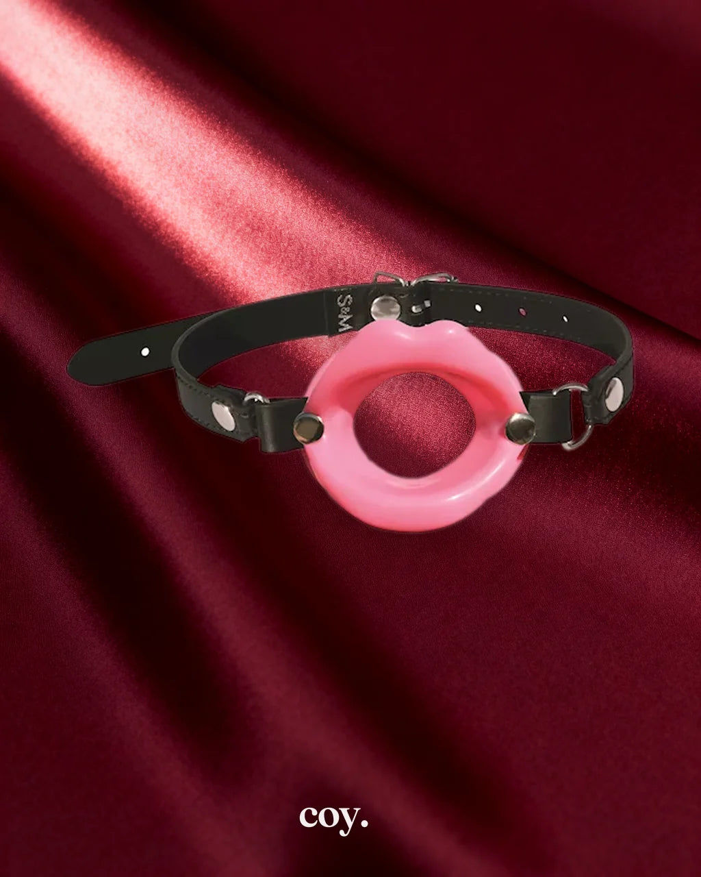 S And M Silicone Lips Mouth Gag — Coy