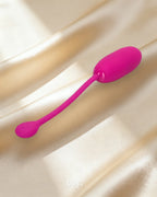 Rechargeable Kegel Ball Advanced — Coy