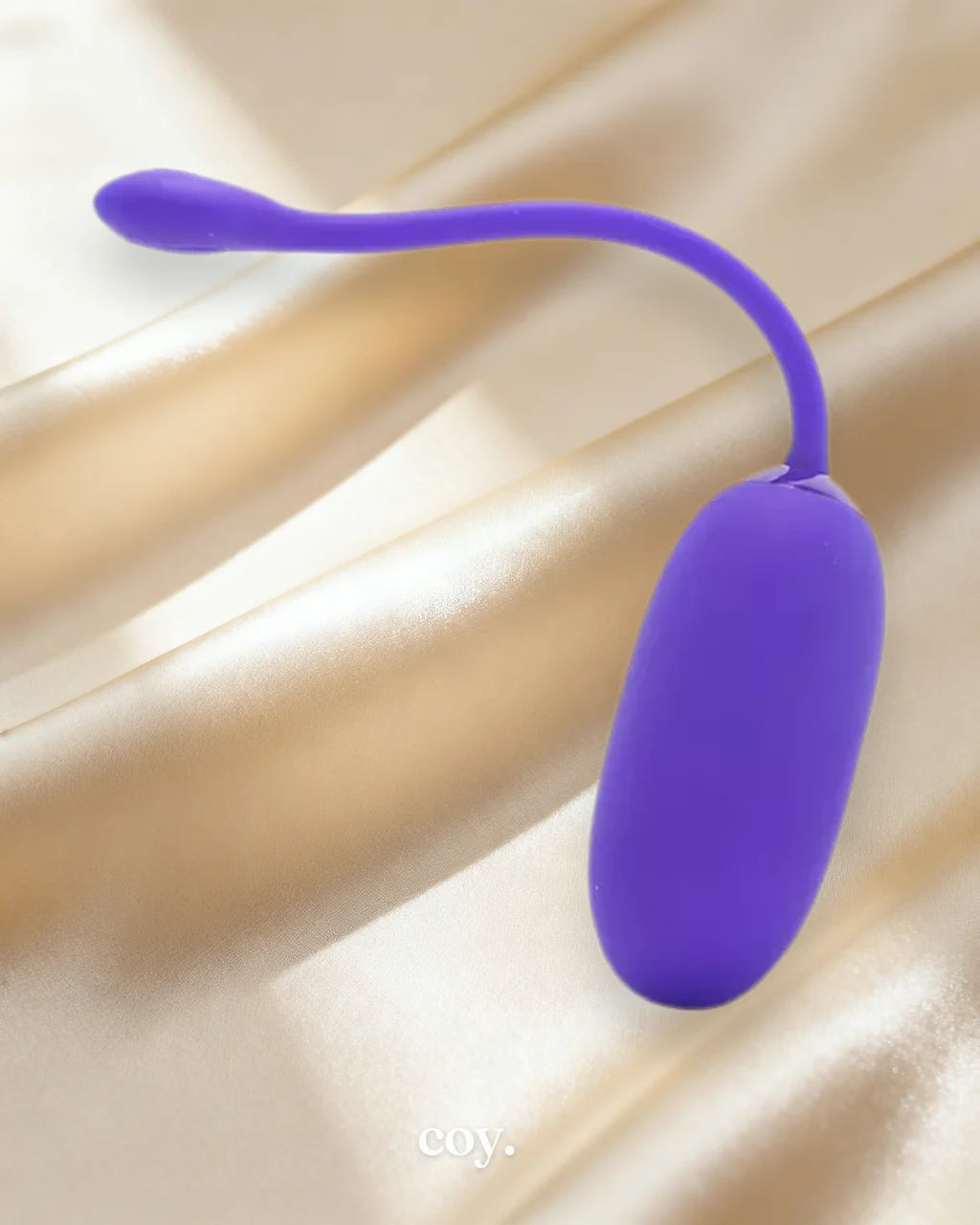 Rechargeable Kegel Ball — Coy