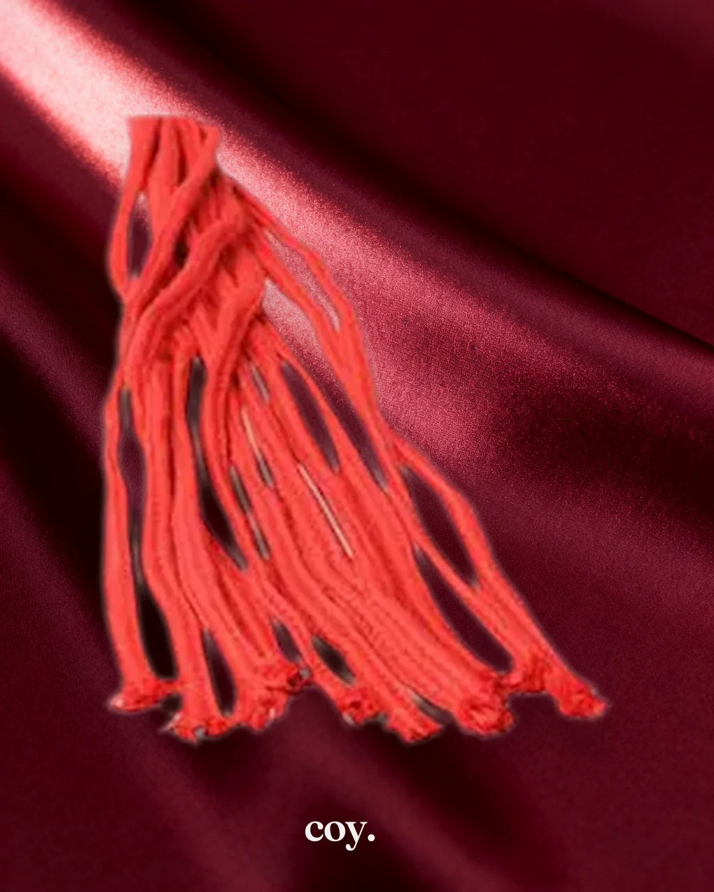 Red Rope Flogger — Coy
