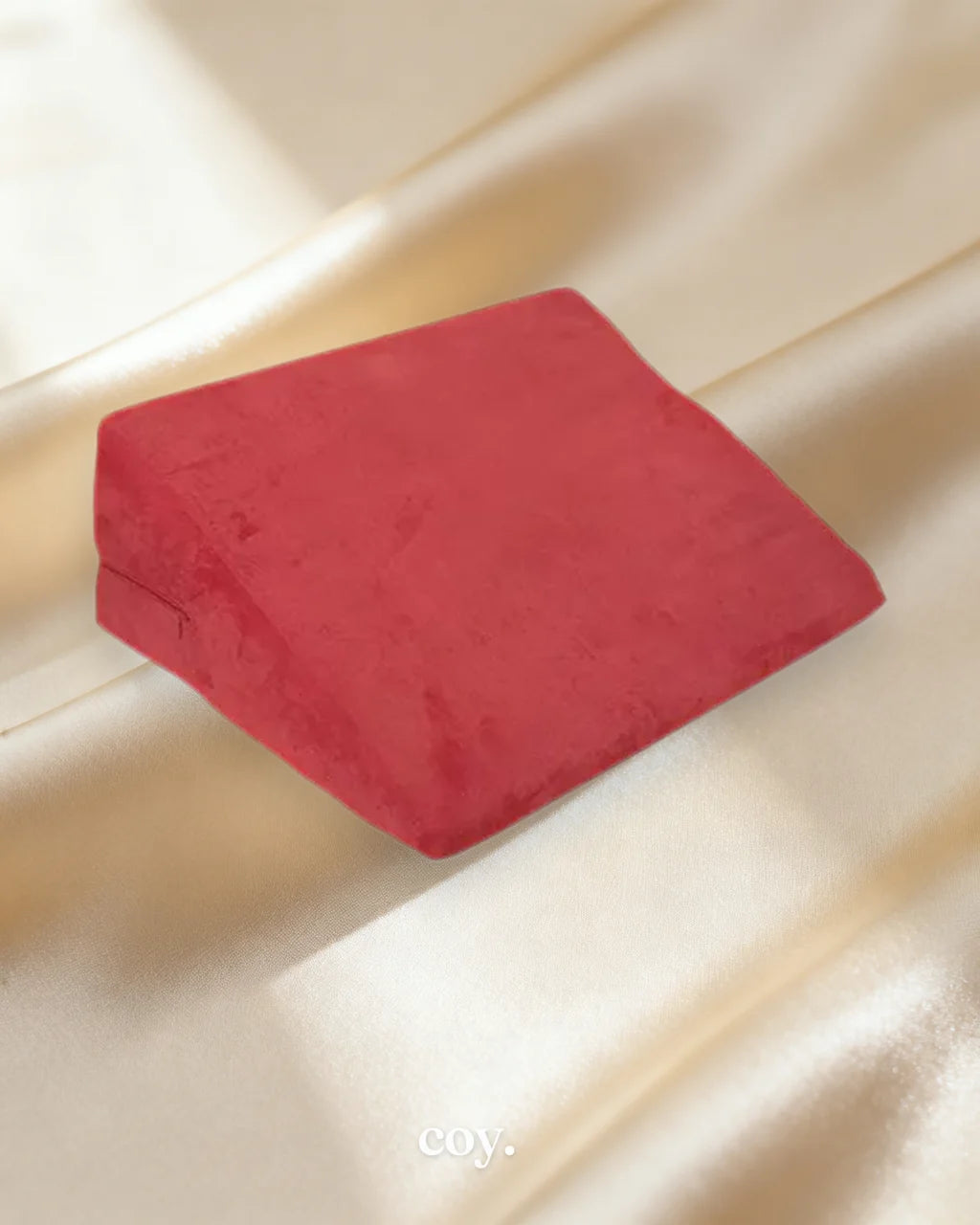 Share Satisfaction Kinki Plush Foam Pillow — Red — Coy