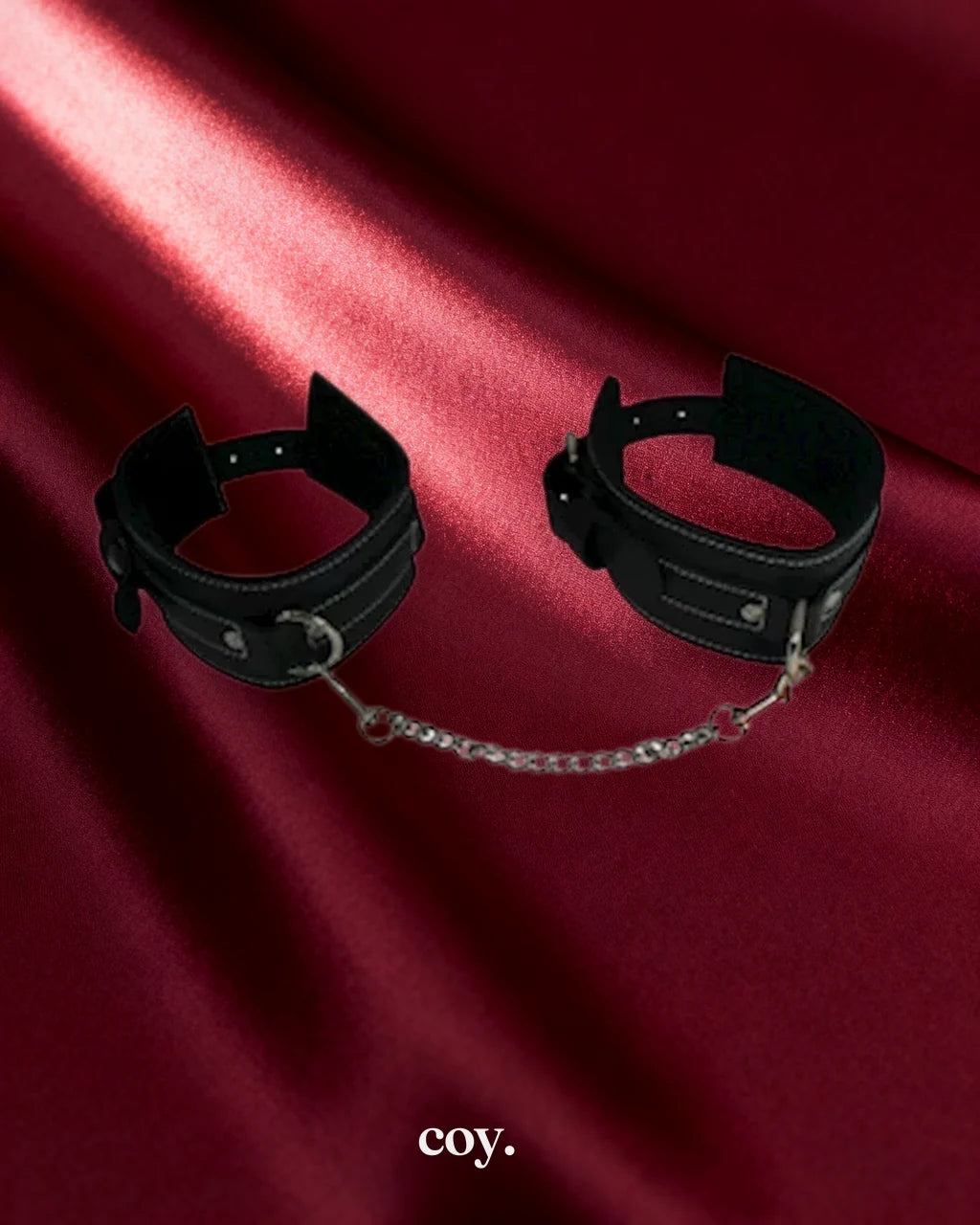 Edge Leather Ankle Restraints — Coy