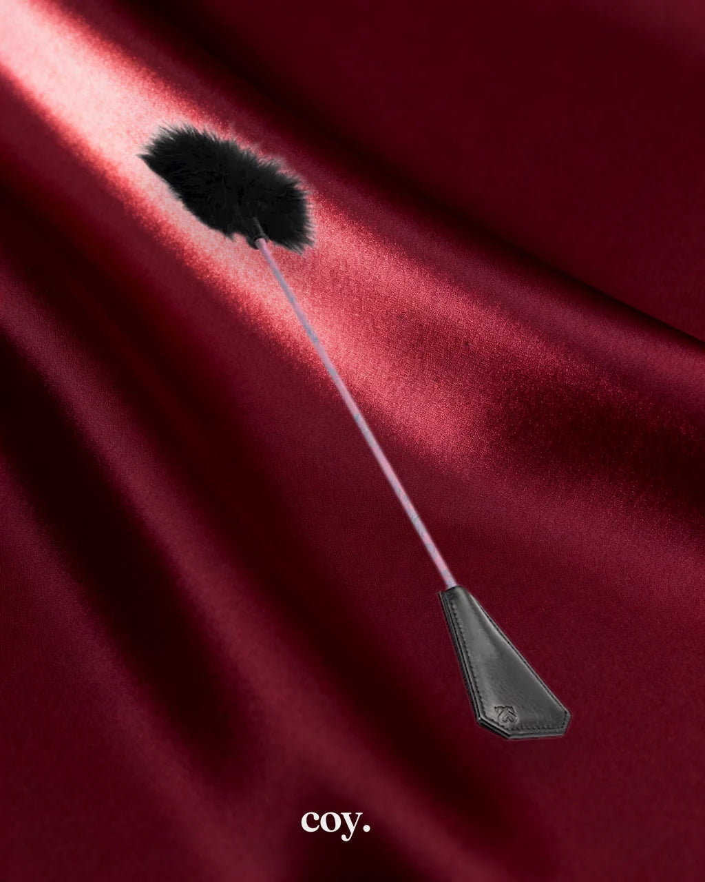 Bound Luxury Riding Crop — Coy