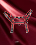 Chest Harness — Coy
