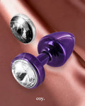 Anni Magnet T2 Butt Plug — Coy
