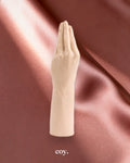 Belladonnas Magic Hand — Coy
