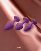 Purple Pleasures 3 Piece Silicone Anal Plugs — Coy