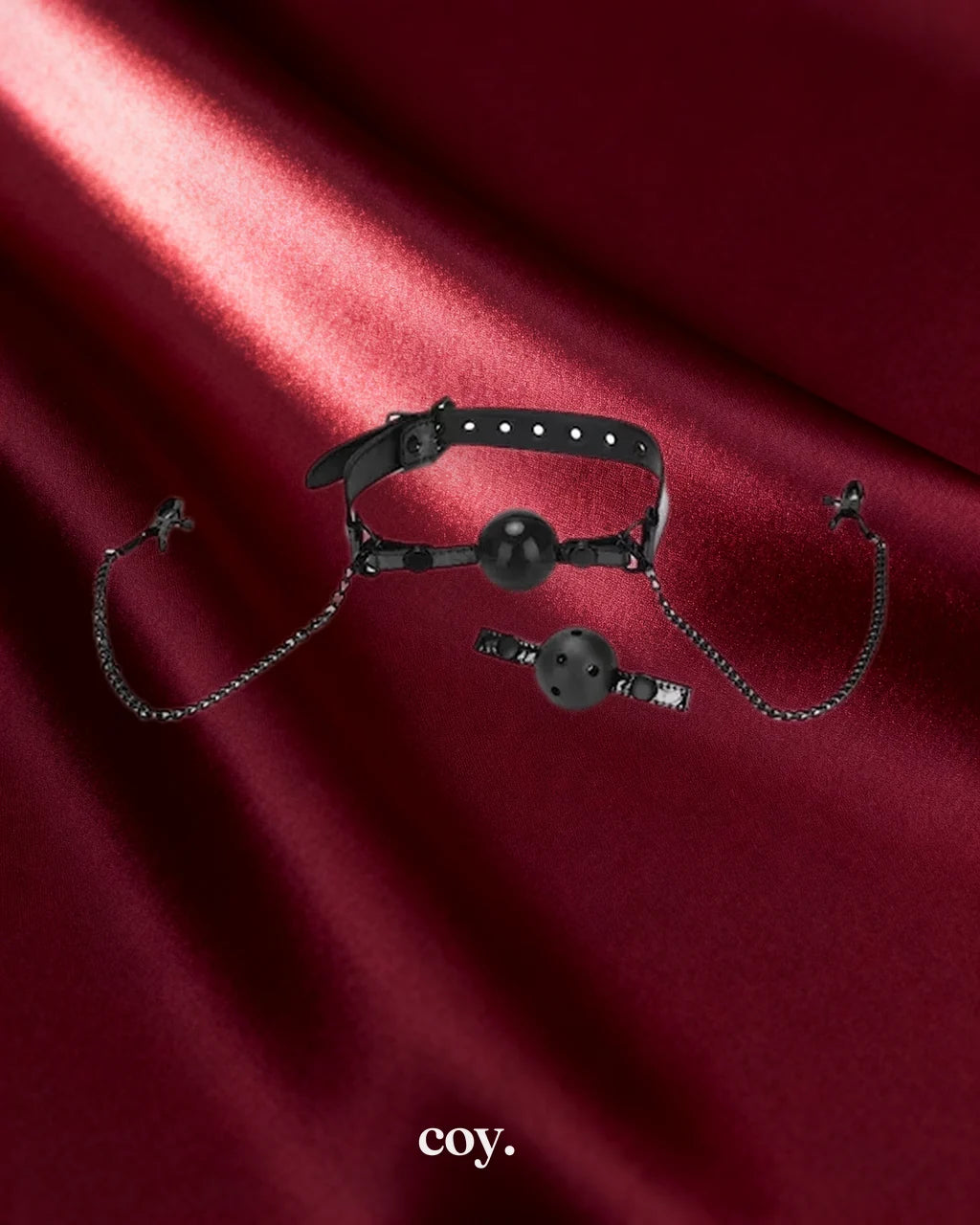 Whip Smart Diamond Collection Ball Gag and Nipple Clips — Black — Coy