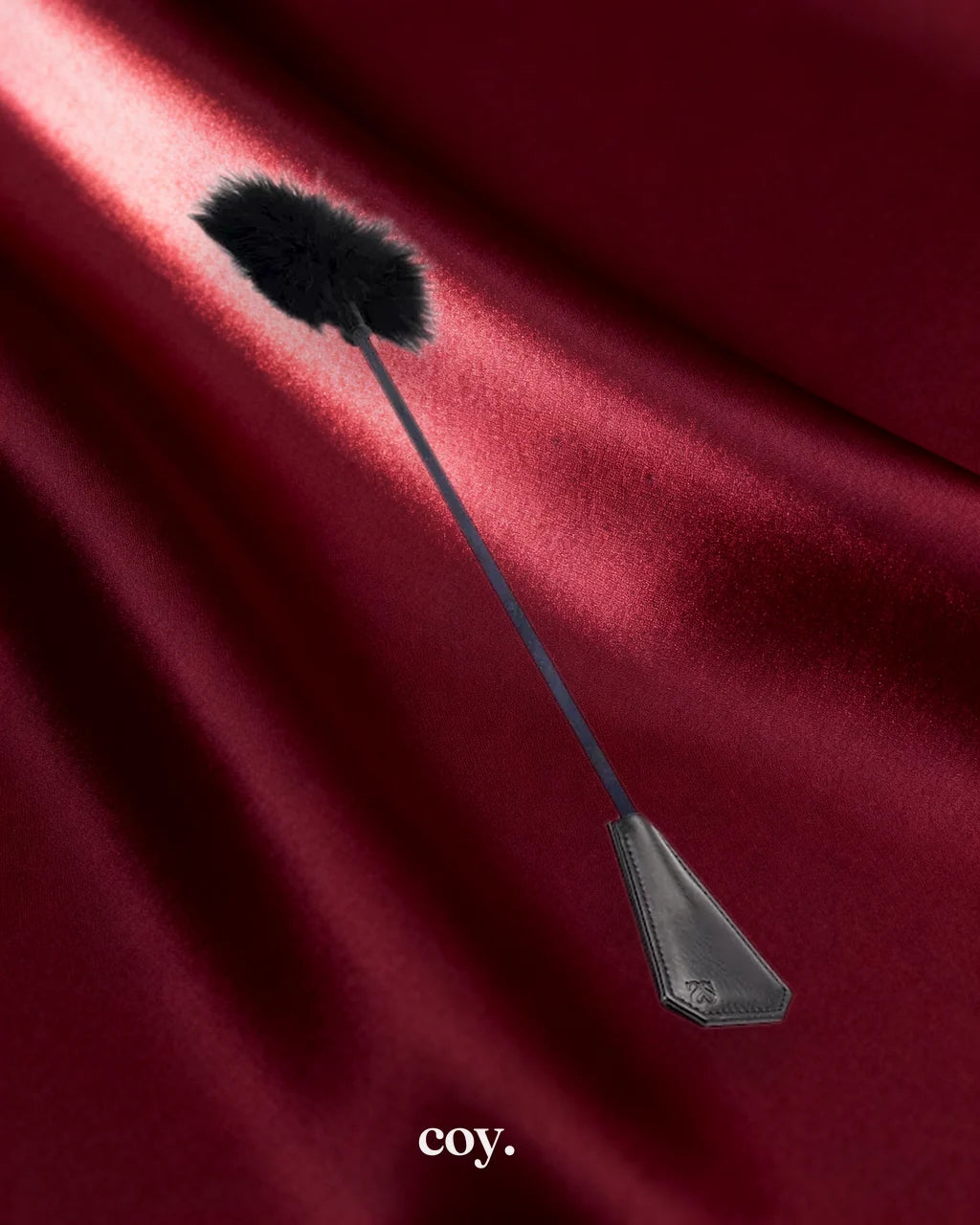 Bound Luxury Riding Crop — Coy
