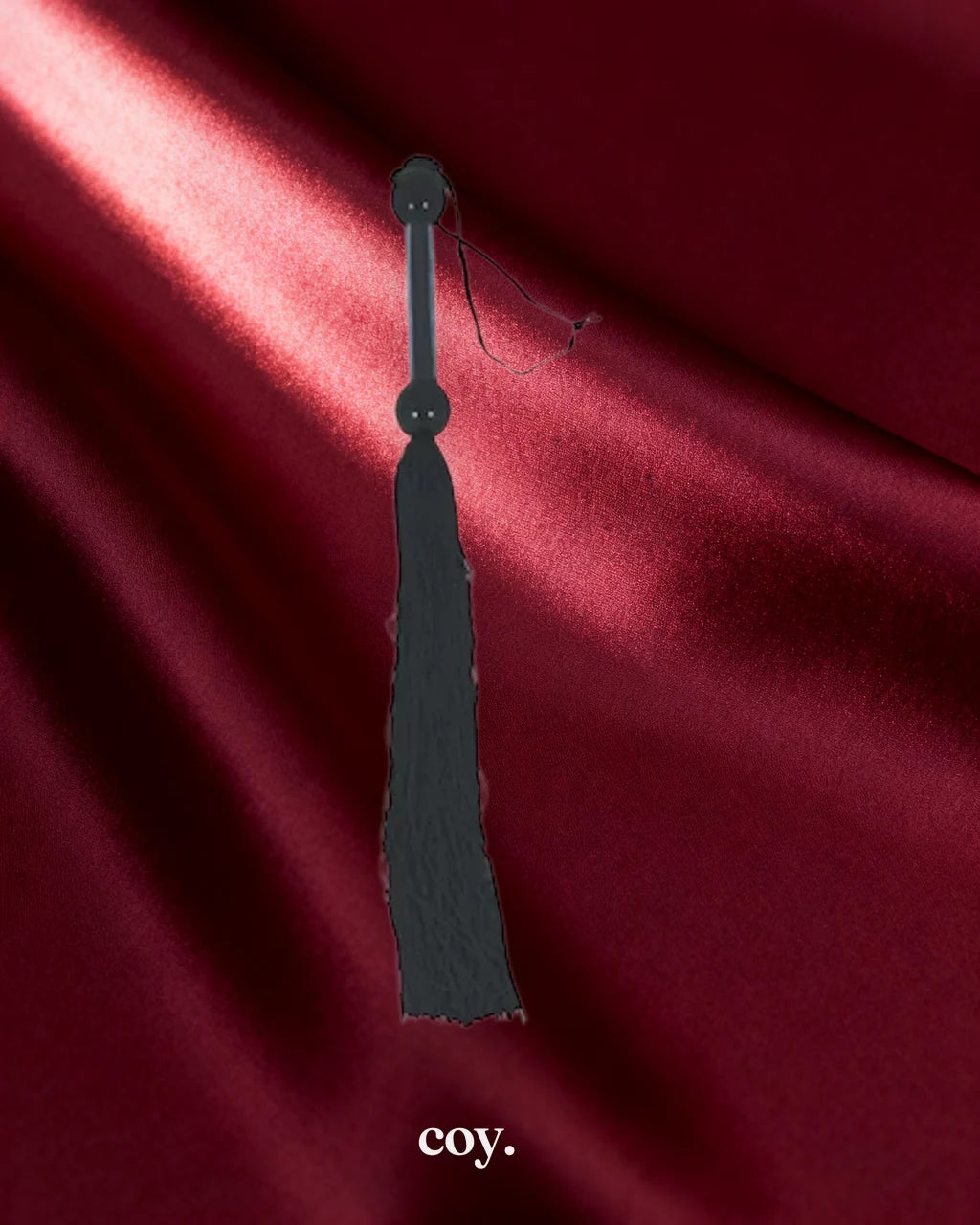 Large Whip Black — Coy