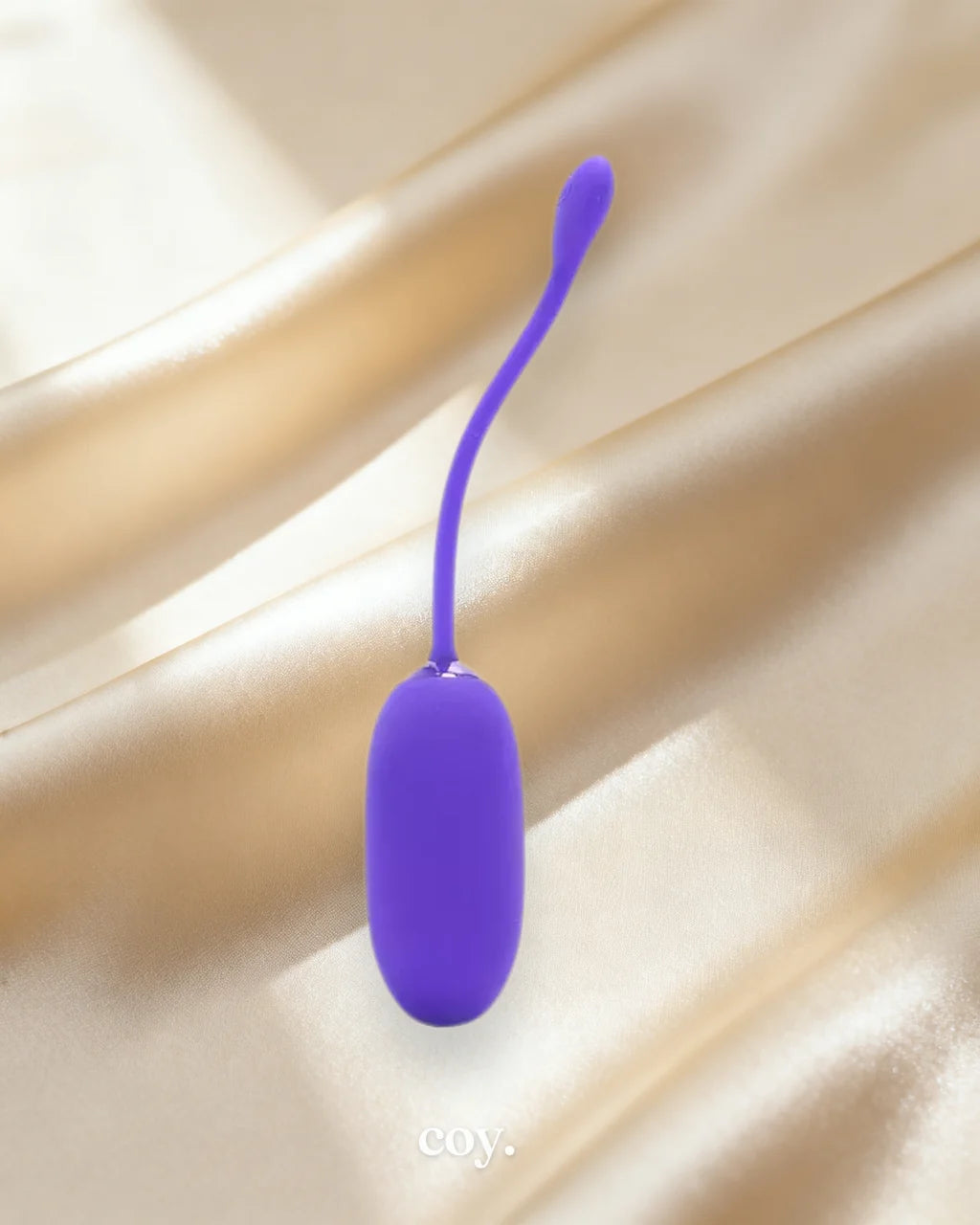 Rechargeable Kegel Ball — Coy