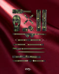 Army Bondage Kit — Coy